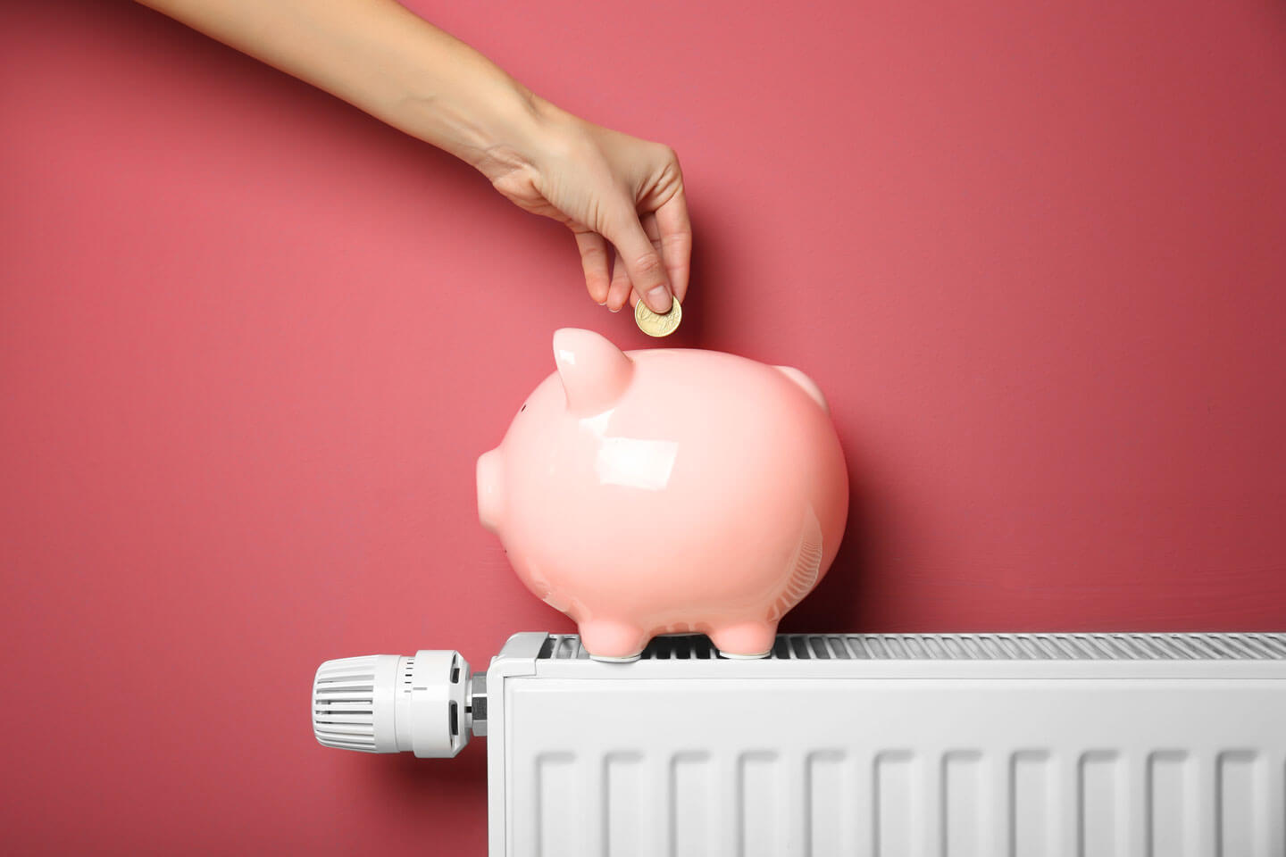 putting money into a piggy bank putting money into a piggy bank