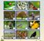 Nature hunt icon
