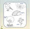 Colouring in activity sheet