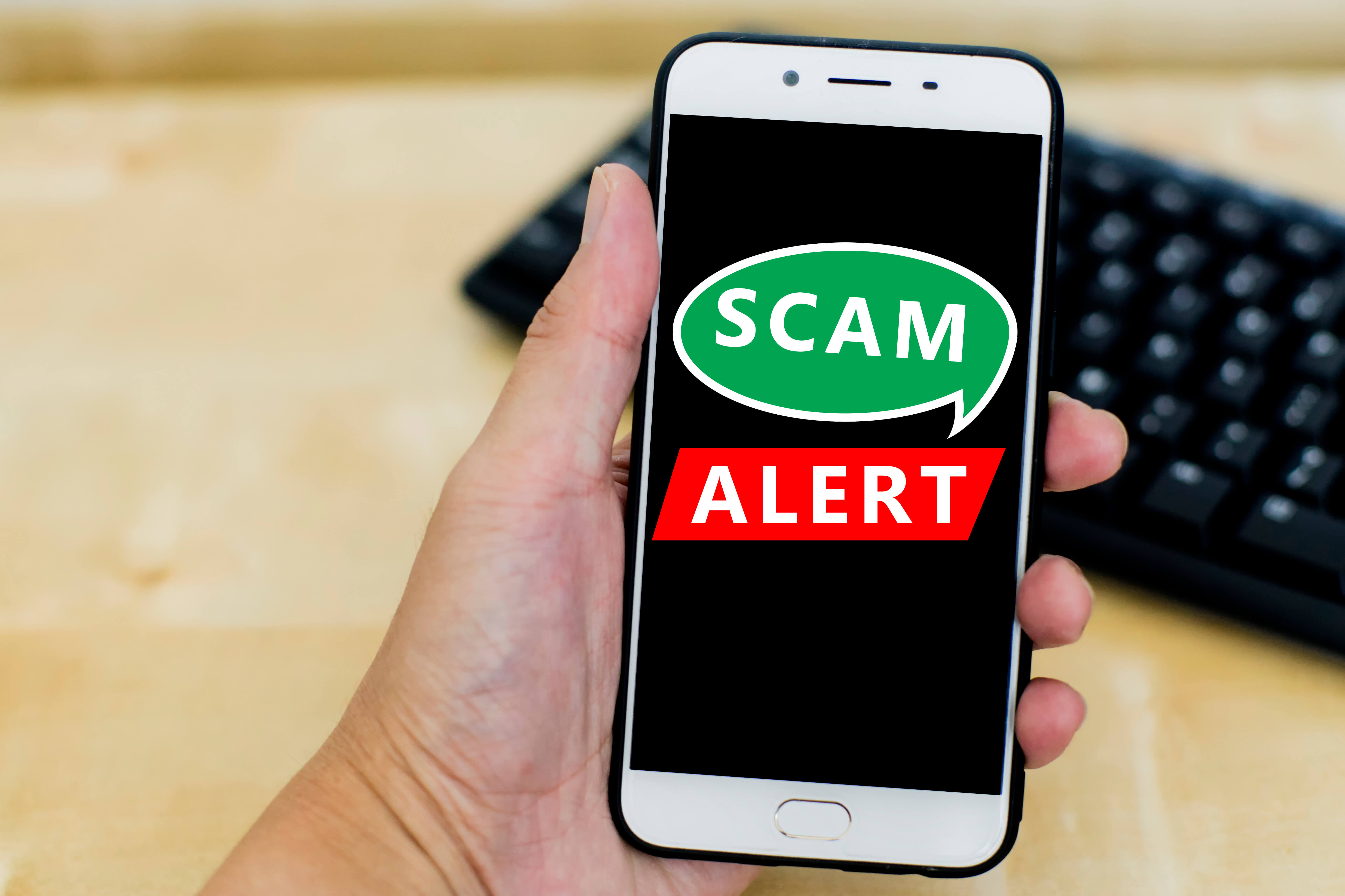 hand holding a white mobile phone with a scam alert warning