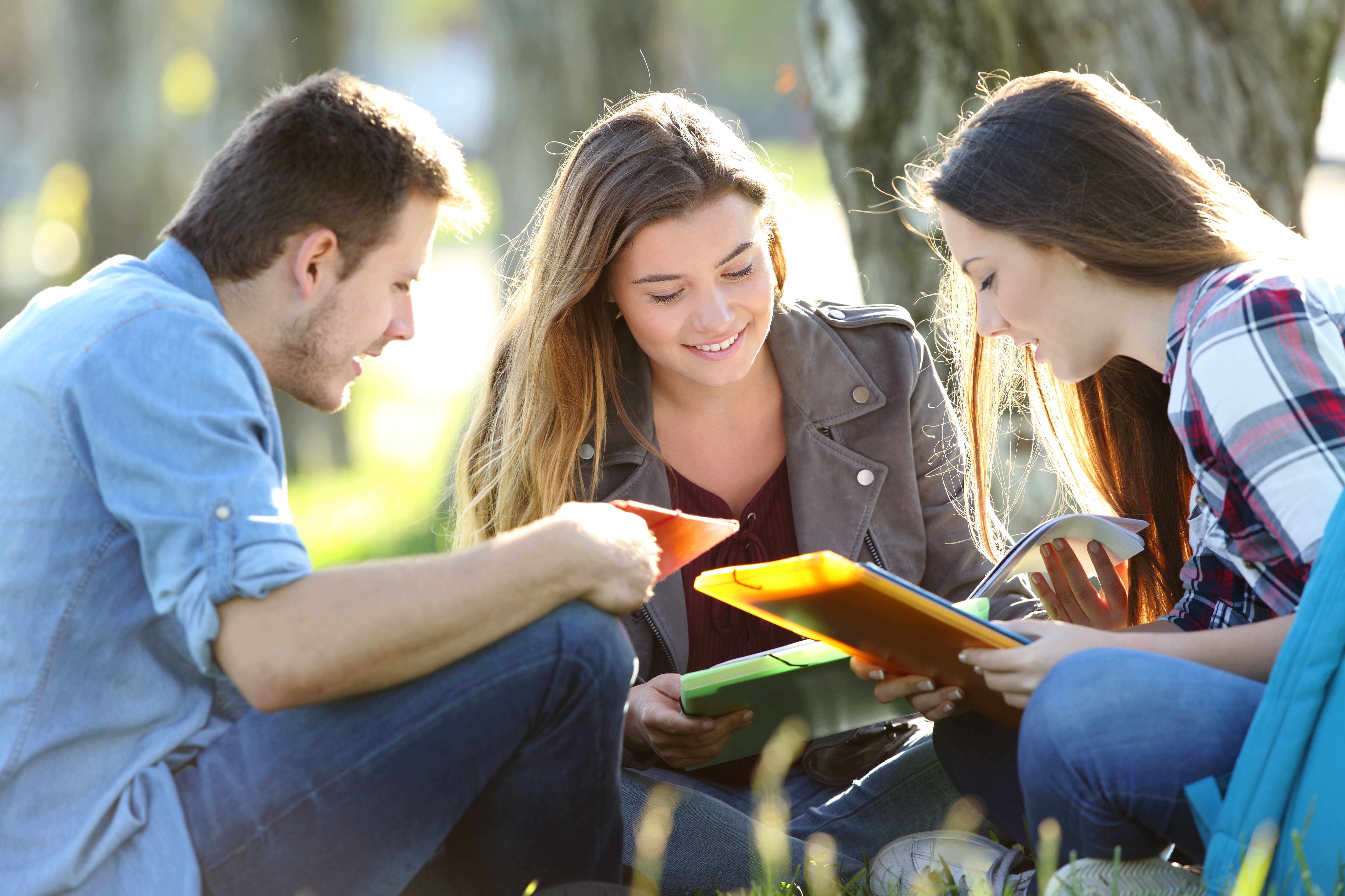 Three students sitting on the grass