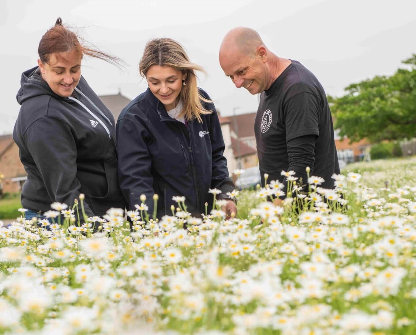 Three people standing next to the wildflowers Three people standing next to the wildflowers